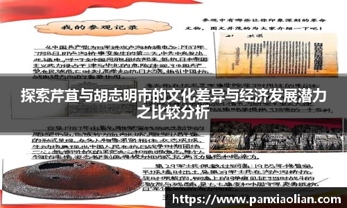 竞技宝探索芹苴与胡志明市的文化差异与经济发展潜力之比较分析